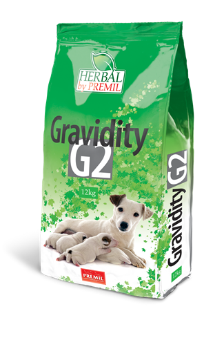 Gravidity G2