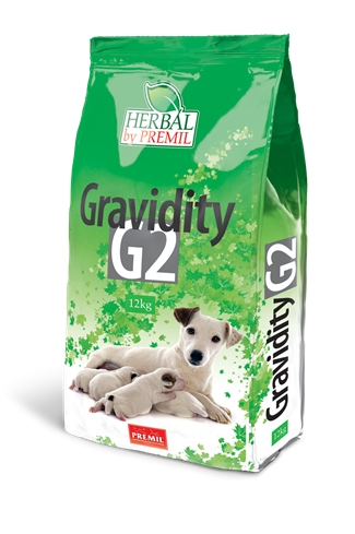 GRAVIDITY G2 / ГРАВИДИТИ Г2