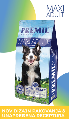 Maxi Adult