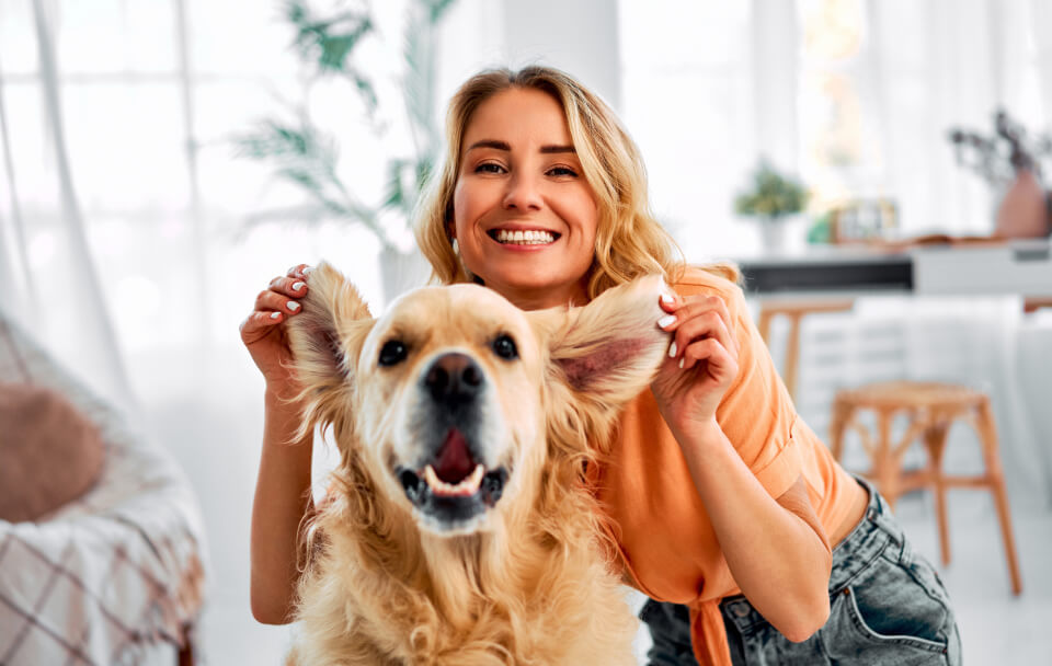 Testimonijali slika premil