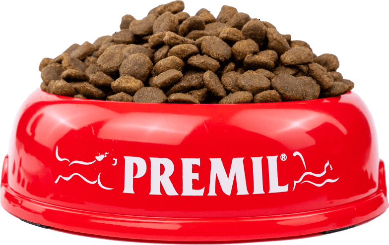 premil-cinija-sa-hranom