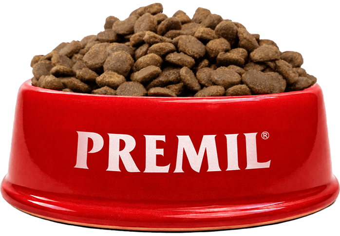 premil-cinija-sa-hranom-2026